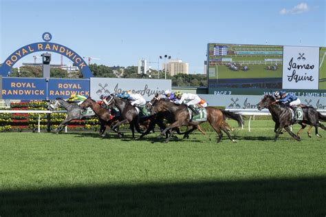 TJ Smith Stakes 2025 Tips, Field & Race Guide.